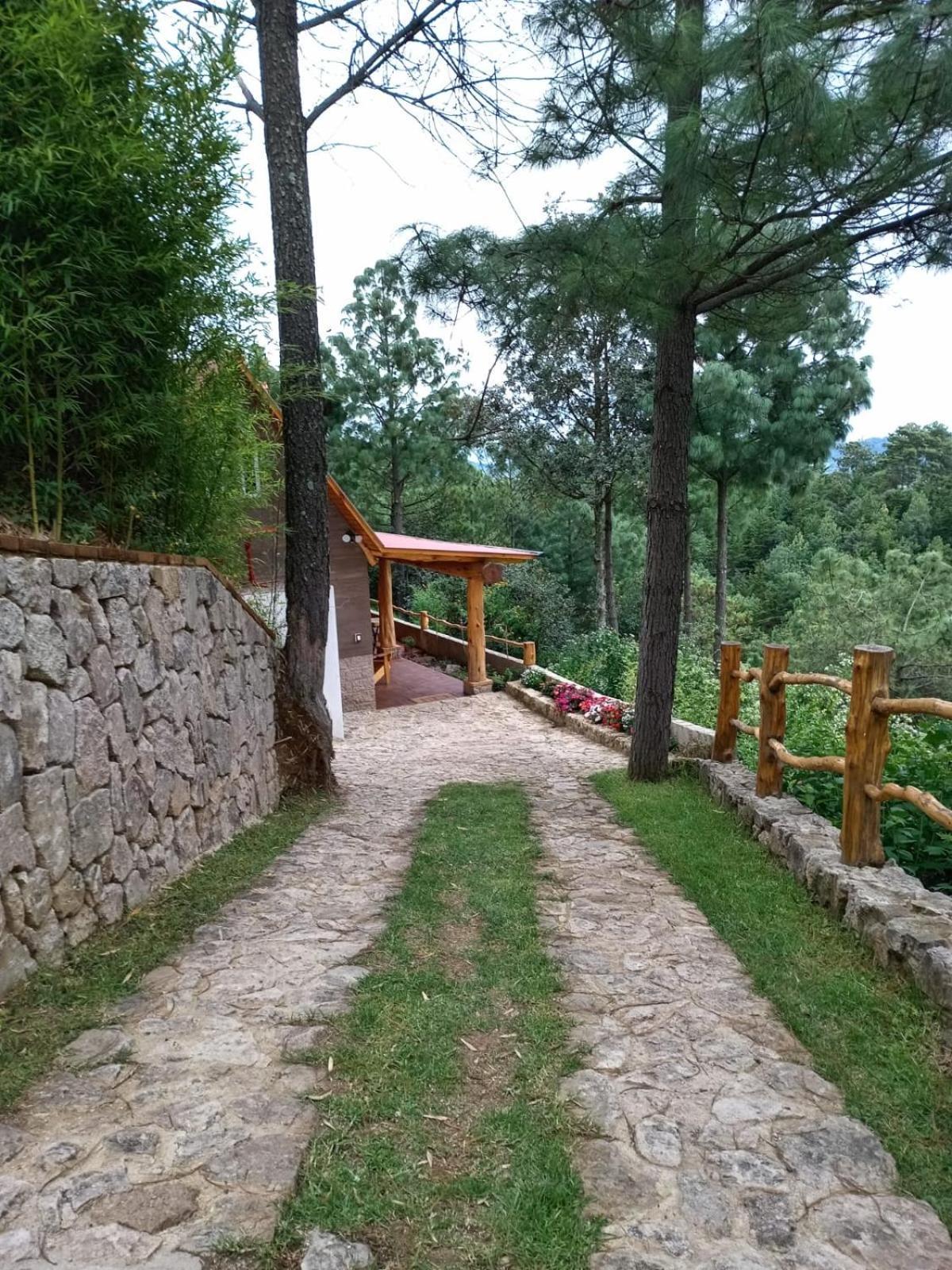 Chuchiya Tecpan *